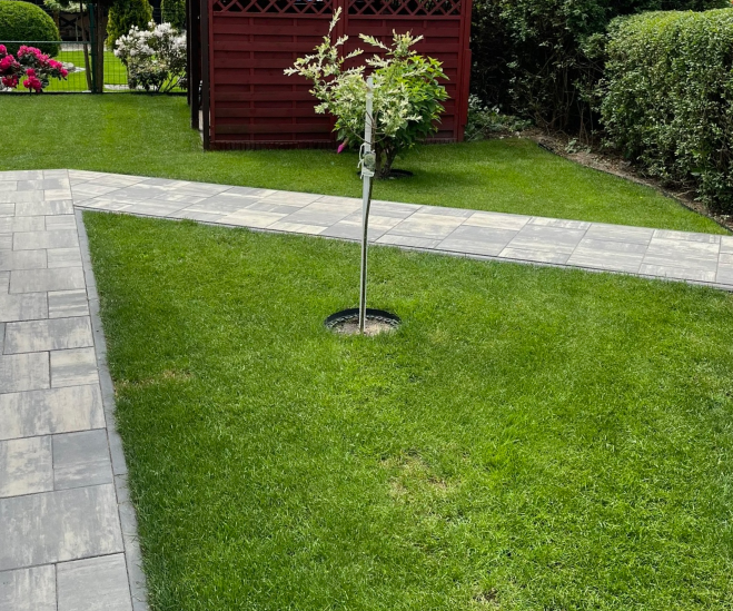 Trawnik z rolki 100 m² - efekt końcowy wzdłuż ścieżki z kostki