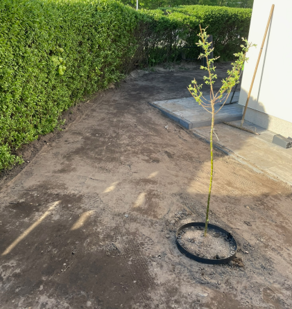 Wyrównywanie podłoża pod trawnik z rolki w Szczecinku