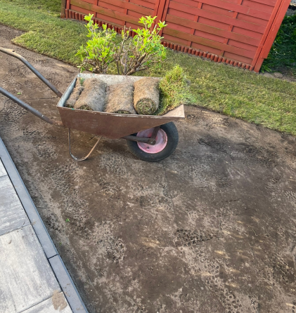 Układanie trawy z rolki przy domu - taczka z rolkami trawy