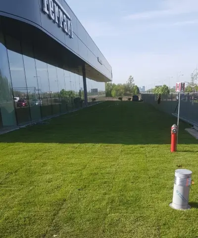 Salon Ferrari Warszawa – 2000 m² trawnika z rolki