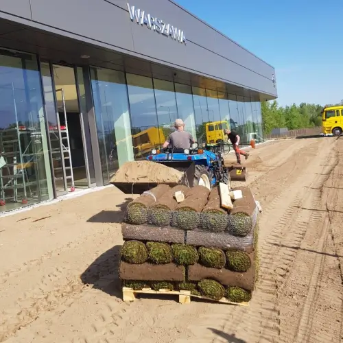 Palety trawy z rolki gotowe do ułożenia przy salonie Ferrari