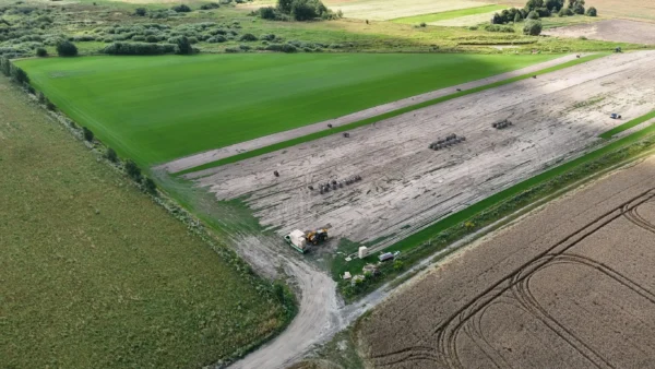 Nasza plantacja - trawazrolki24 1