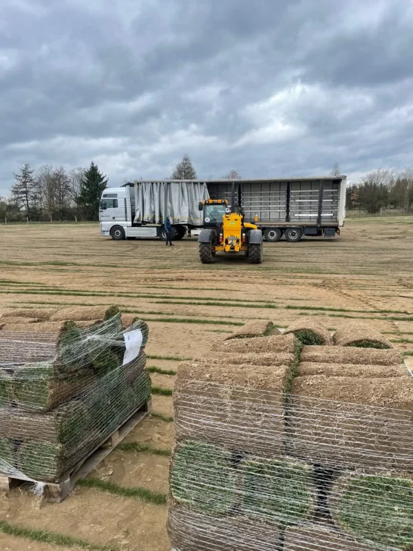 Nasza plantacja - trawazrolki24 16