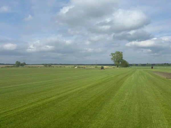 Nasza plantacja - trawazrolki24 3