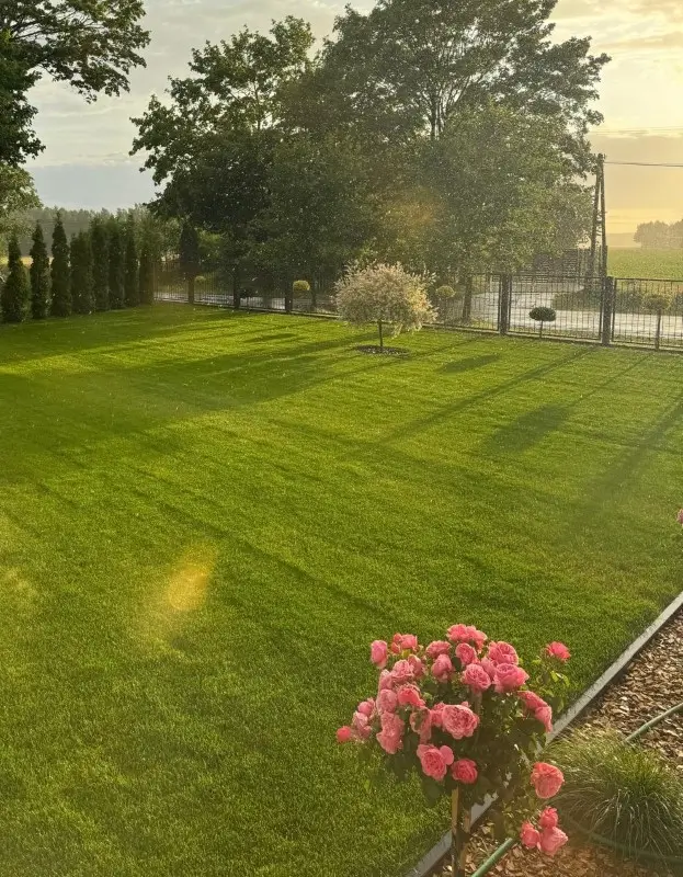 Układanie trawy z rolki przez ekipę TrawazRolki24